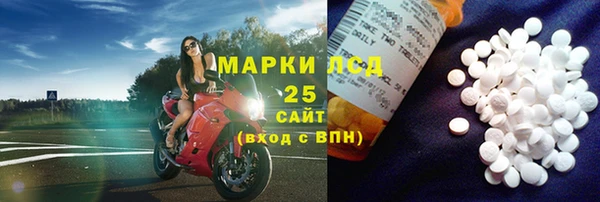 крисы Алзамай