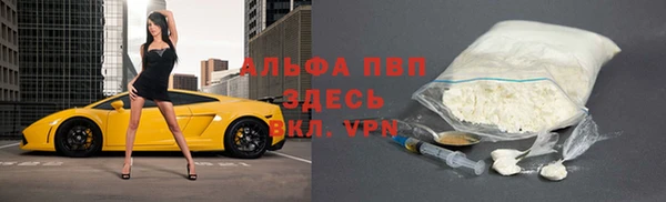 крисы Алзамай