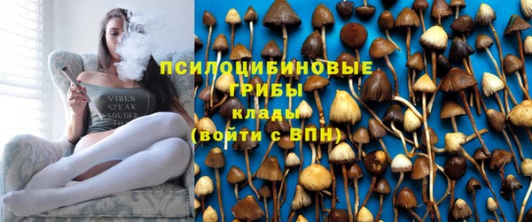 крисы Алзамай