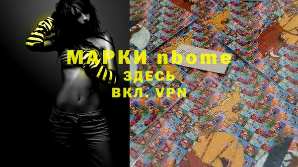 крисы Алзамай