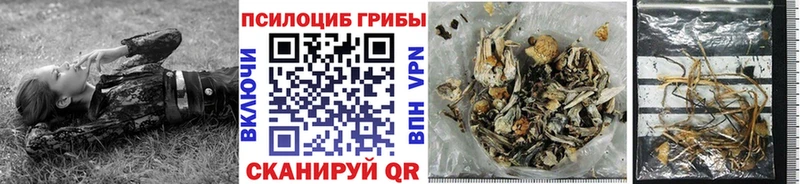 нарко площадка официальный сайт Красково Псилоцибиновые грибы Psilocybe